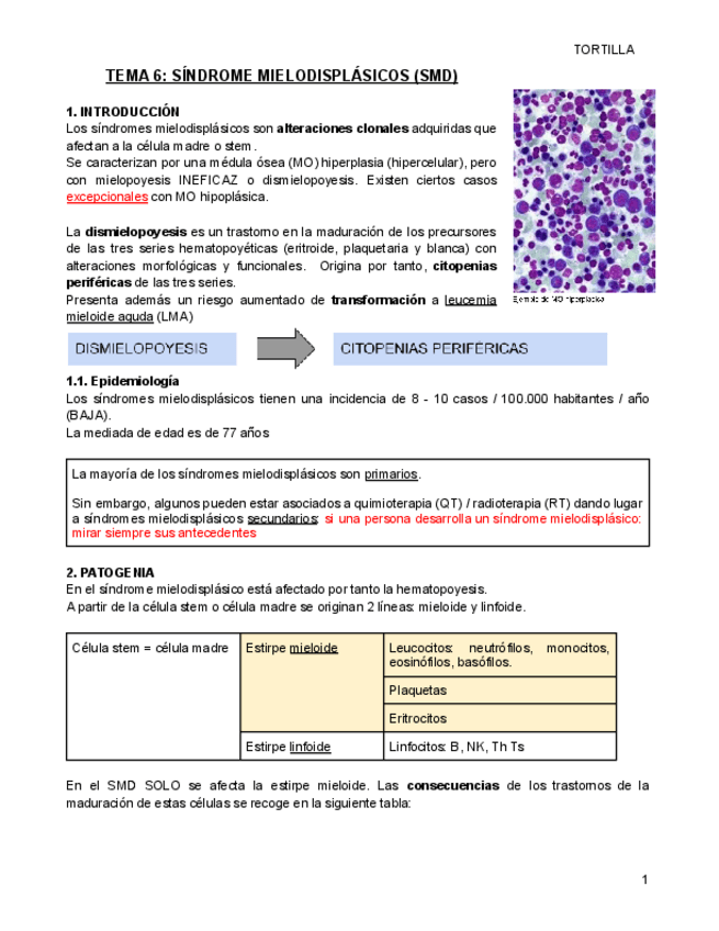 Miniatura del documento TEMA-6-SINDROME-MIELODISPLASICOS-SMD.pdf
