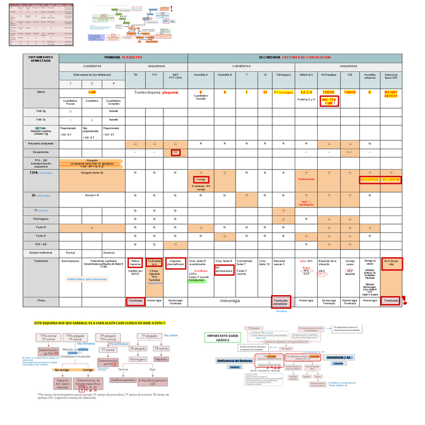 Miniatura del documento RESUMEN-Analitica-Enfermedades-Hemostasia.pdf