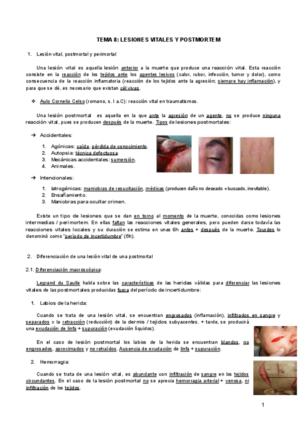 Miniatura del documento TEMA-8-LESIONES-VITALES-Y-POSTMORTEM.pdf