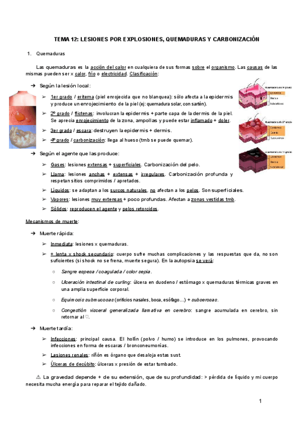 Miniatura del documento TEMA-12-LESIONES-POR-EXPLOSIONES-QUEMADURAS-Y-CARBONIZACION.pdf