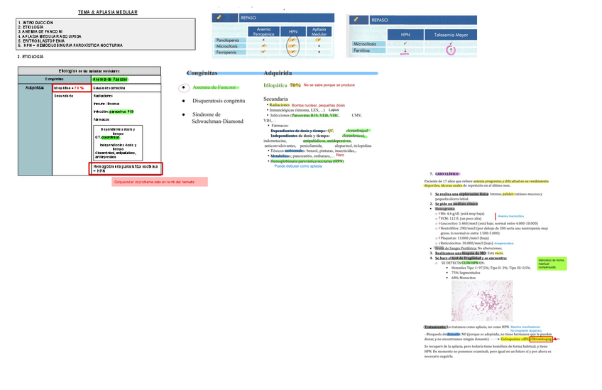 Miniatura del documento 4.-Aplasia-Medular.pdf