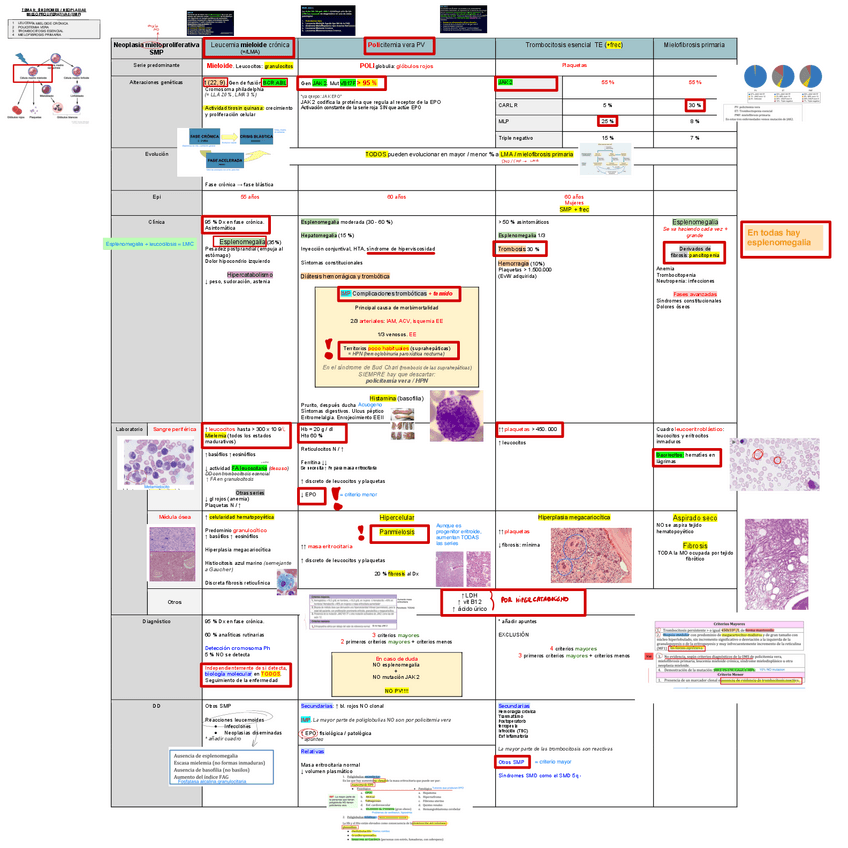 Miniatura del documento 9.-Neoplasias-Mieloproliferativas-NMP.pdf