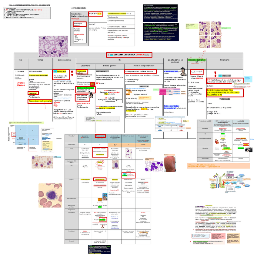 Miniatura del documento 10.-Sindromes-Linfoproliferativos-Cronicos.pdf