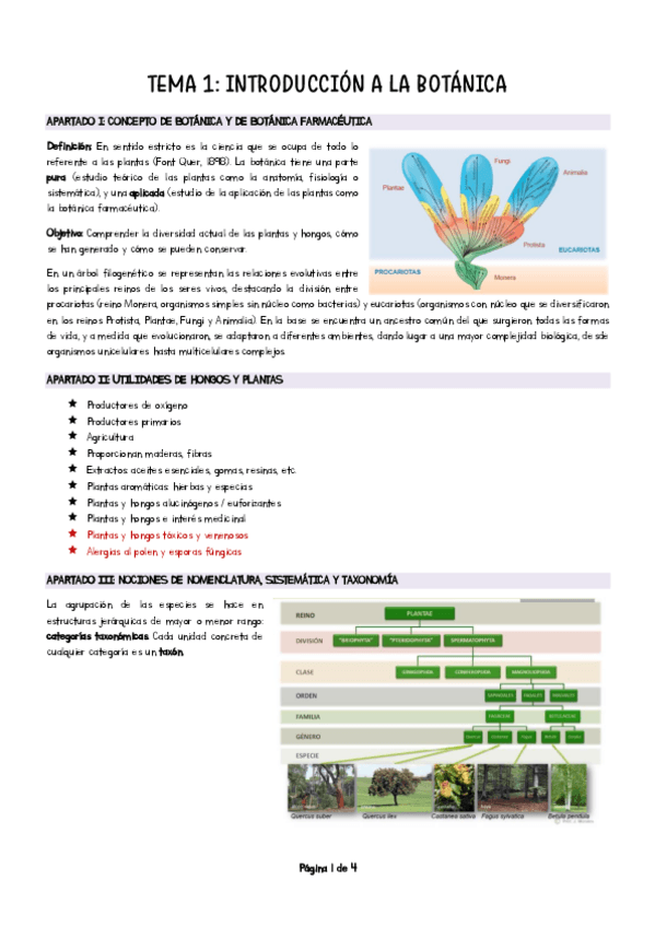 Miniatura del documento Tema-1-Introduccion-a-la-botanica.pdf