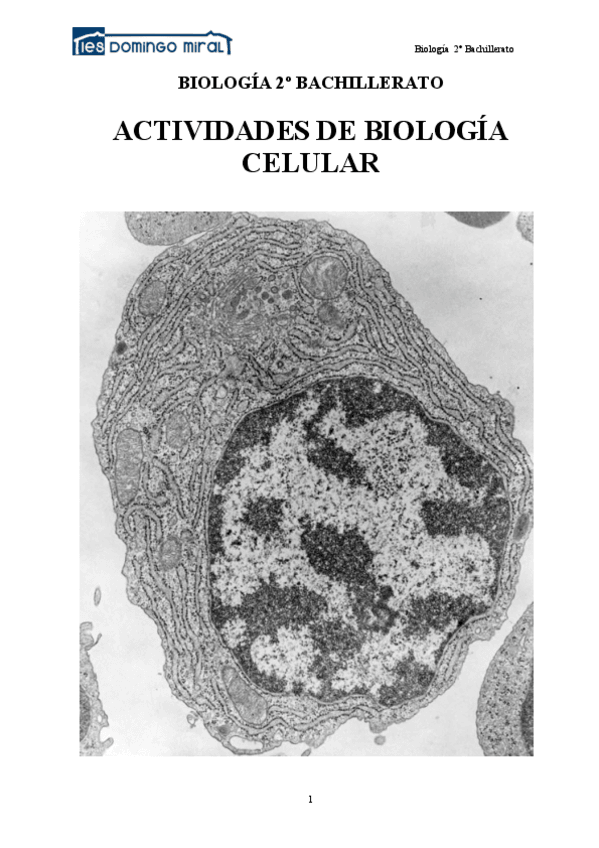 Miniatura del documento Actividades-biologia-celular.pdf
