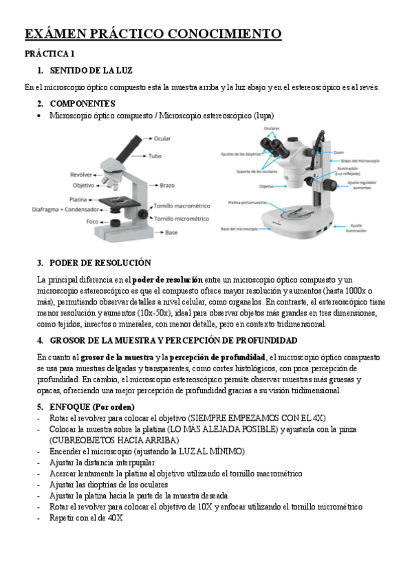 Miniatura del documento EXAMEN-PRACTICO-CONOCIMIENTO.pdf