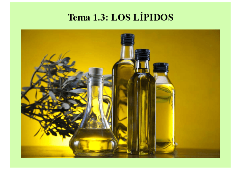 Miniatura del documento Esquema-Lipidos.pdf