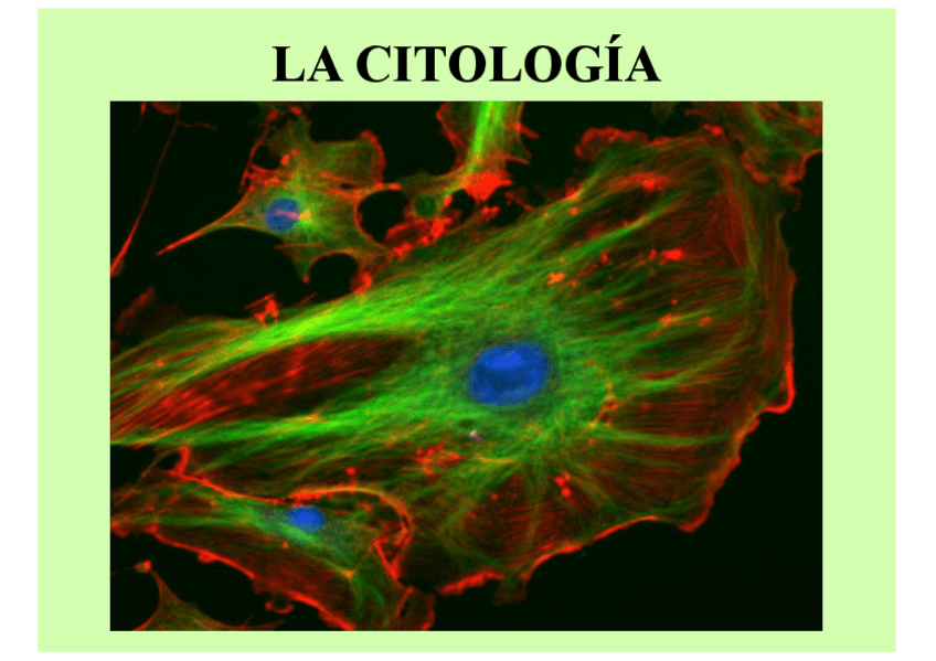 Miniatura del documento Esquema-La-celula-procariota.pdf