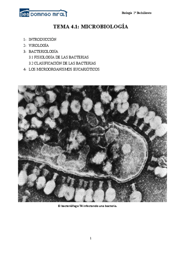 Miniatura del documento Los-microorganismos.pdf