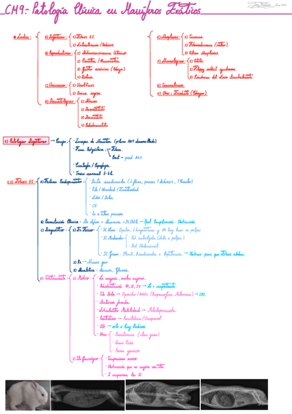 Miniatura del documento CM9-NAC-Patologia-clinica-en-mamiferos-exoticos.pdf