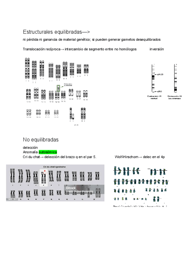 Miniatura del documento cariotip.pdf.pdf