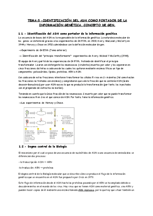 Miniatura del documento Resumen-Replicacion-Transcripcion-y-Traduccion.pdf