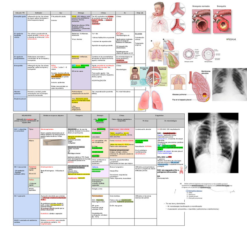 Miniatura del documento 22.-Infeccion-Tracto-Respiratorio-Inferior.pdf