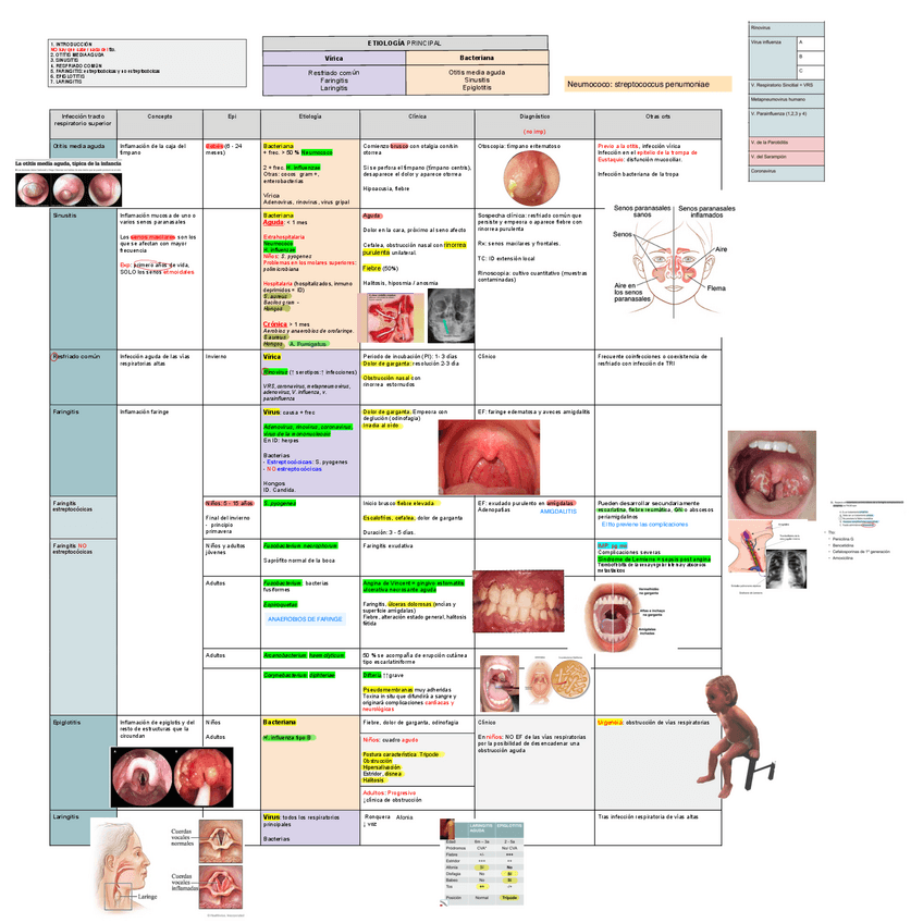 Miniatura del documento 21.-Infeccion-tracto-respiratorio-superior.pdf