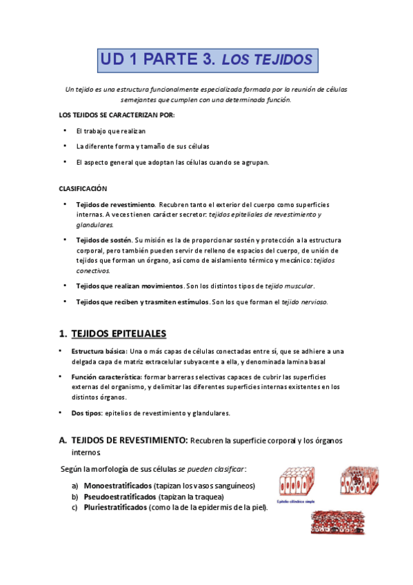 Miniatura del documento TEJIDOS.pdf