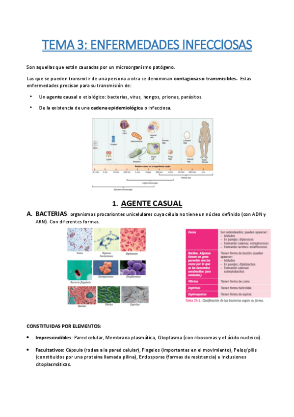 Miniatura del documento TEMA-3-ENFERMEDADES-INFECCIOSAS.pdf