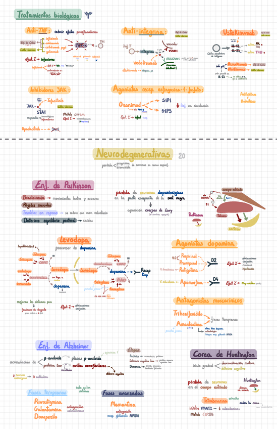 Miniatura del documento Farmacología (6ᵃ parte).pdf
