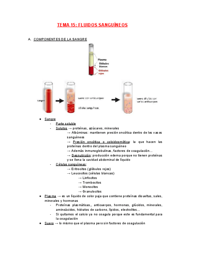 Miniatura del documento FISIOLOGIA-TEMA-15.pdf