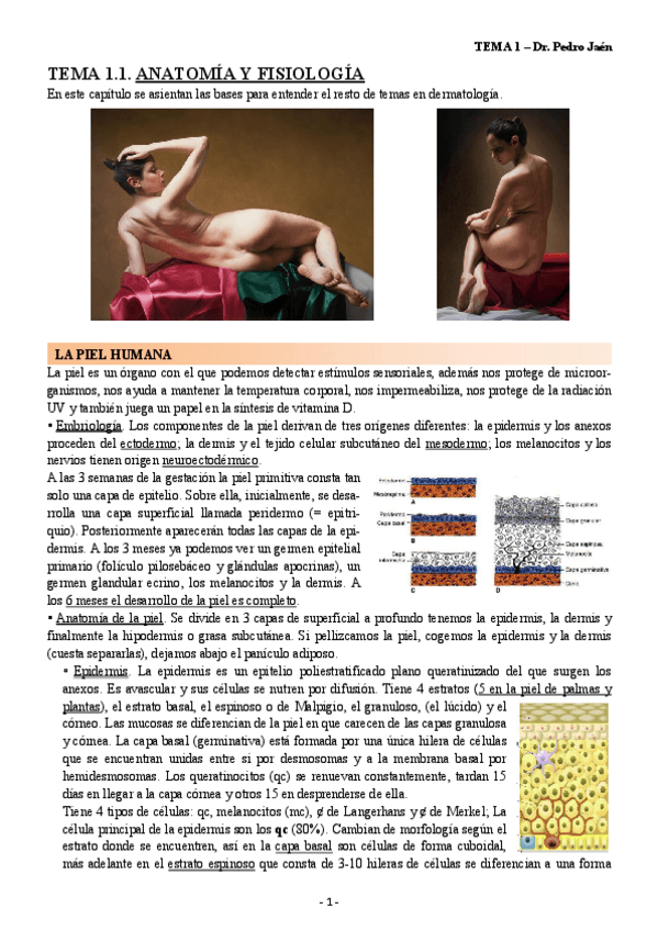 Miniatura del documento T1 - anatomia- fisiologia, semiologia, terapeutica.pdf