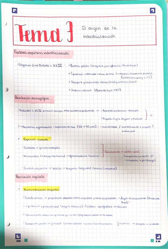 Miniatura del documento Tema-3-El-Origen-De-La-Industrializacion.pdf