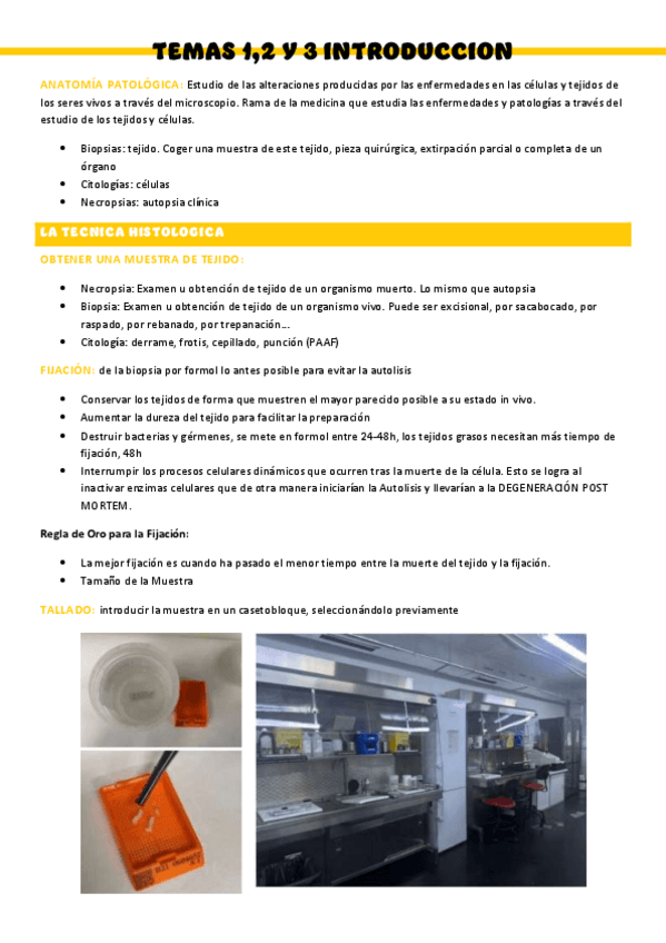 Miniatura del documento T123-Anatomia-patologica.pdf
