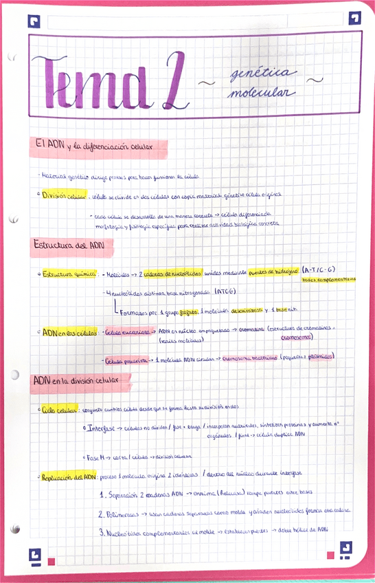 Miniatura del documento Tema-2-Genetica-Molecular.pdf