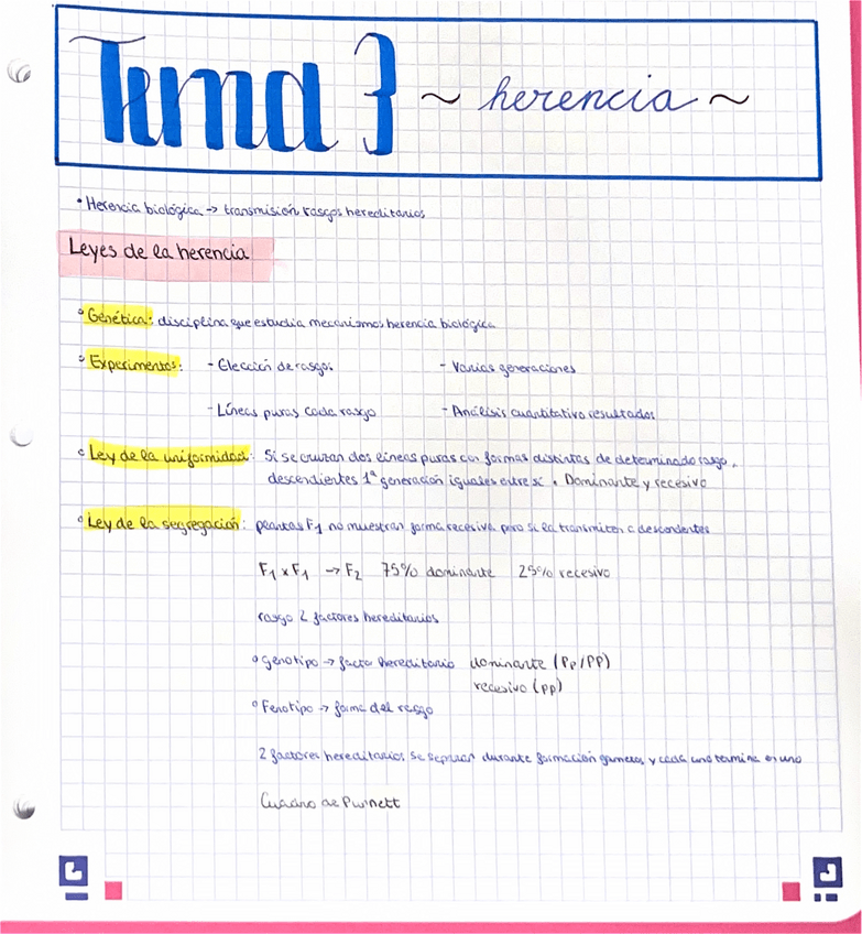 Miniatura del documento Tema-3-La-Herencia.pdf