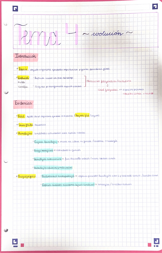 Miniatura del documento Tema-4-Evolucion.pdf