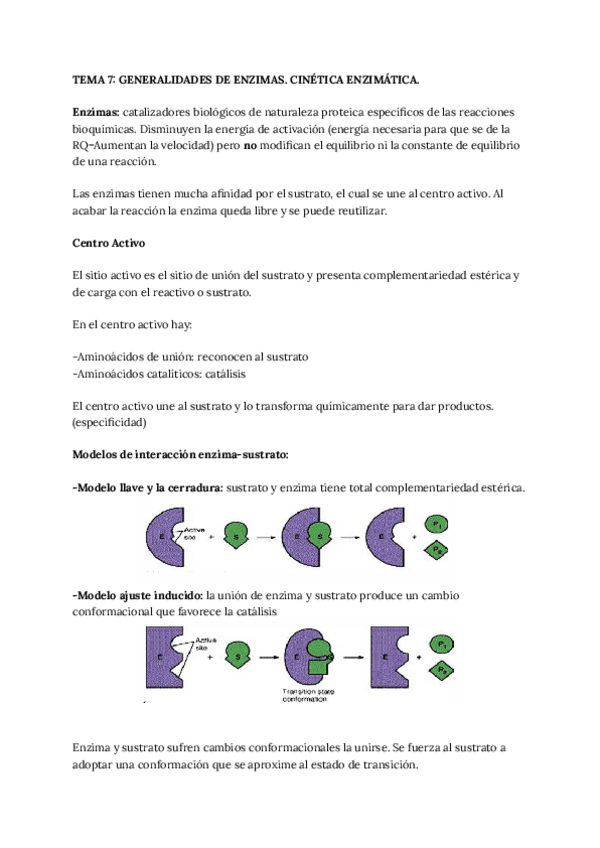 Miniatura del documento Tema-7-generalidades-de-las-enzimas.-Cinetica-enzimatica.pdf