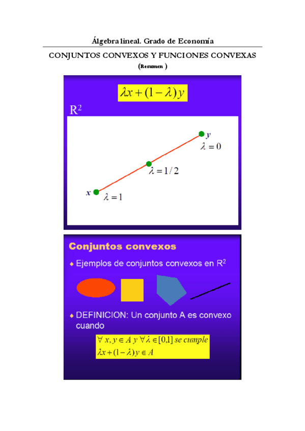 Miniatura del documento Resumen-grafico-de-funciones-convexas.pdf