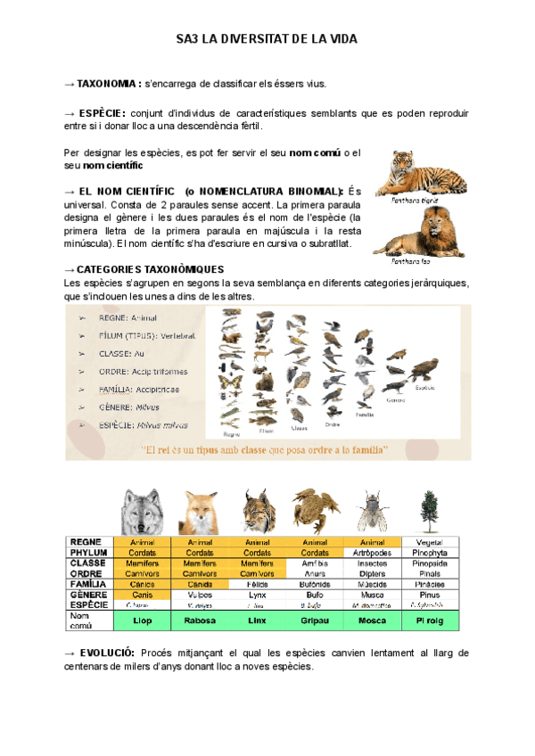 Miniatura del documento RESUM-SA3-LA-DIVERSITAT-DE-LA-VIDA.pdf
