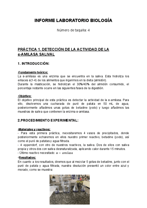 Miniatura del documento INFORME-LABORATORIO-BIOLOGIA.pdf