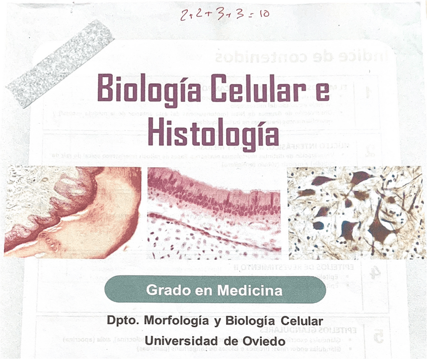Miniatura del documento Cuaderno-practicas-corregido.pdf