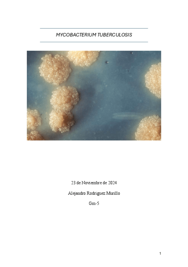 Miniatura del documento MYCOBACTERIUM-TUBERCULOSIS.pdf