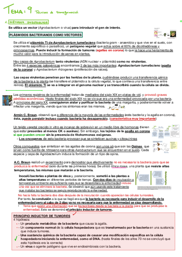 Miniatura del documento Biotec-vegetal-Tema-9.pdf