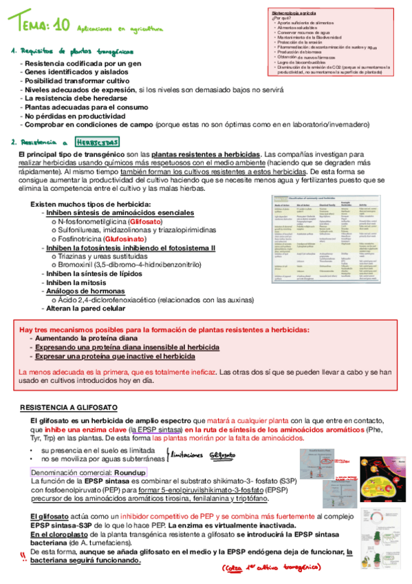 Miniatura del documento Biotec-vegetal-Tema-10.pdf
