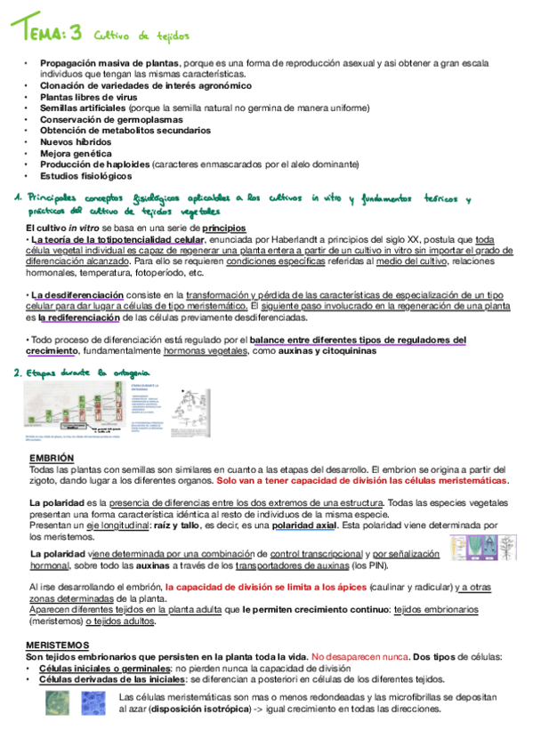 Miniatura del documento Biotec-vegetal-Tema-3.pdf