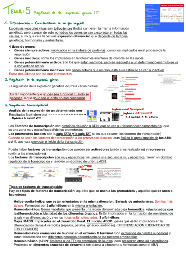 Miniatura del documento Biotec-vegetal-Tema-5.pdf