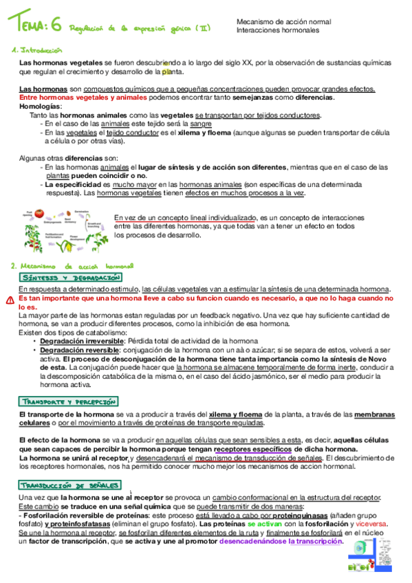Miniatura del documento Biotec-vegetal-Tema-6.pdf