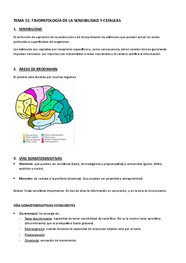 Miniatura del documento TEMA-15-FISIOPATOLOGIA-DE-LA-SENSIBILIDAD-Y-CEFALEAS.pdf