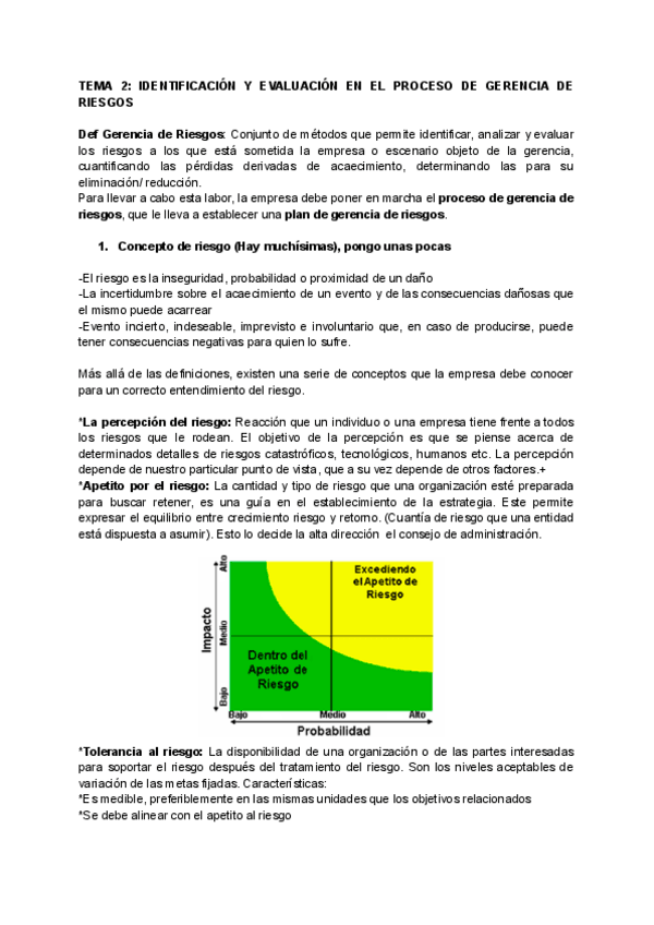 Miniatura del documento GESTION-DE-RIESGOS-Y-SEGUROS-TEMA-2.pdf