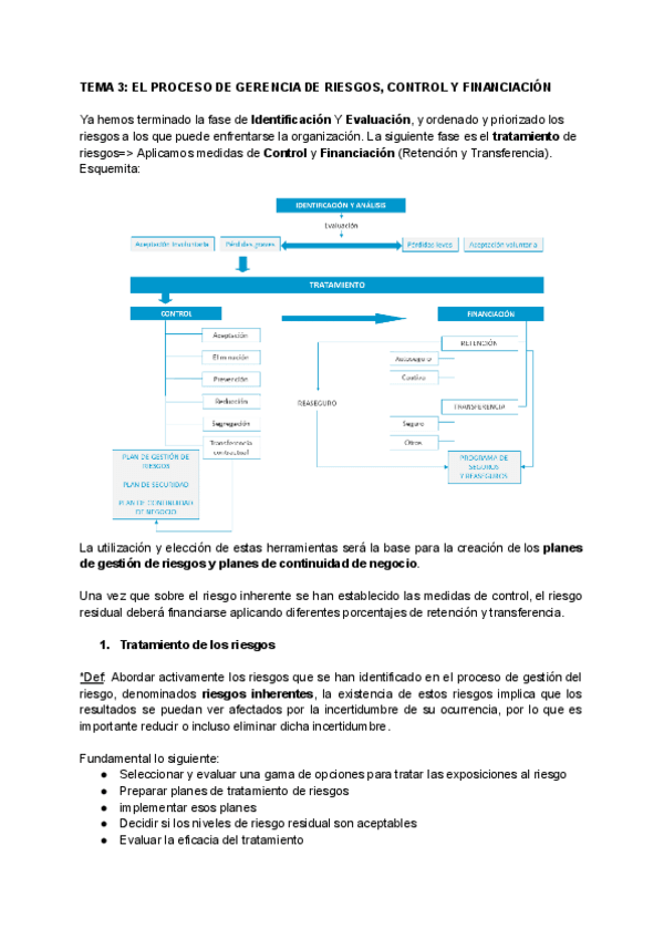Miniatura del documento TEMA-3-EL-PROCESO-DE-GERENCIA-DE-RIESGOS-CONTROL-Y-FINANCIACION.pdf