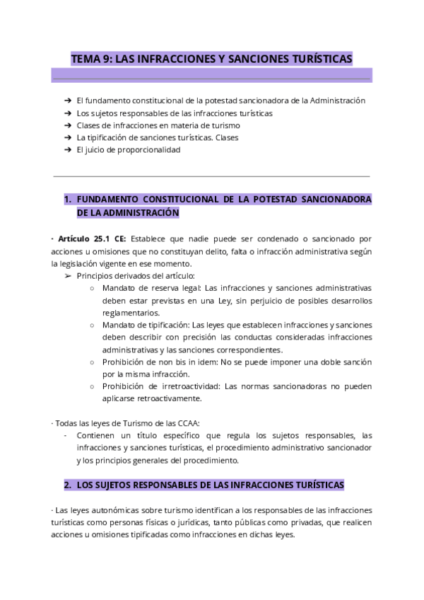 Miniatura del documento T9-Do-Publico-Turismo.pdf
