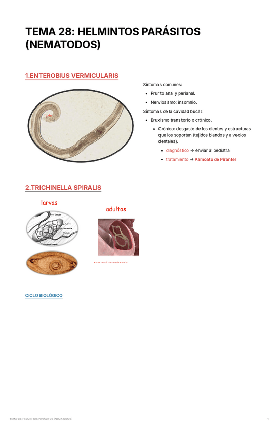 Miniatura del documento tema-4-parasitologia.pdf