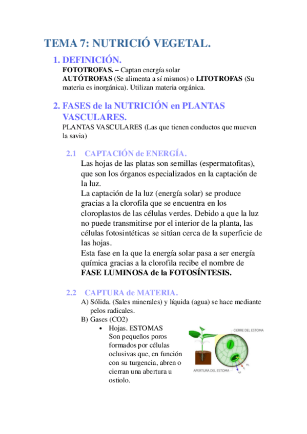 Miniatura del documento NUTRICION-VEGETAL.pdf