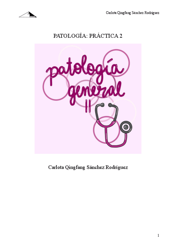 Miniatura del documento Practica-2.pdf