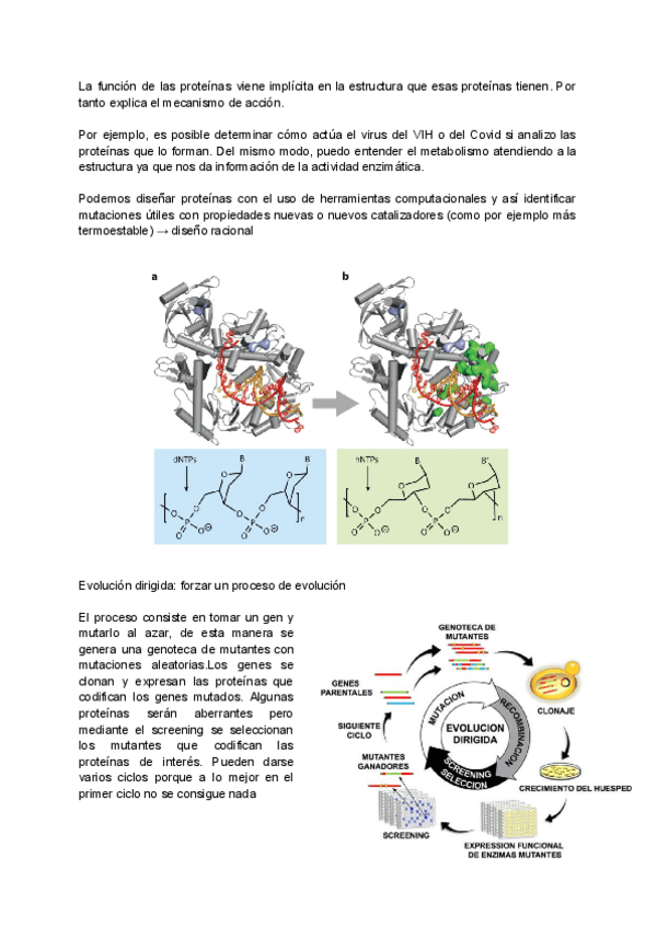 Miniatura del documento Tema-1.-Estructura-de-proteinas.pdf