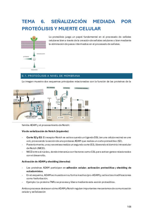 Miniatura del documento Senalizacion-celular-T6.pdf