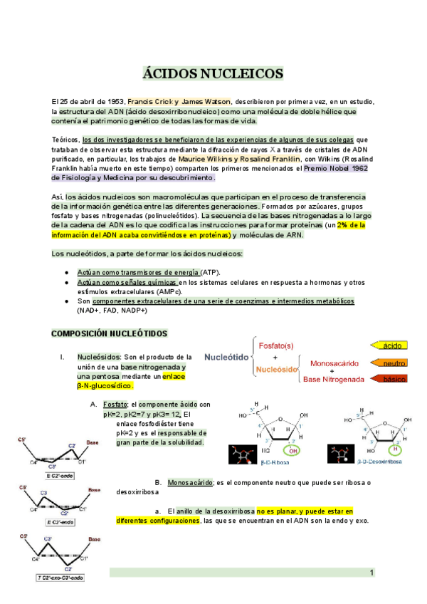 Miniatura del documento TEMA-8-BIOMOL.pdf