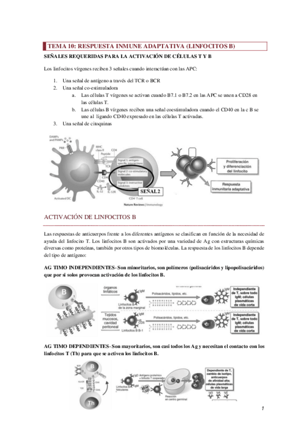 Miniatura del documento TEMA-10.pdf